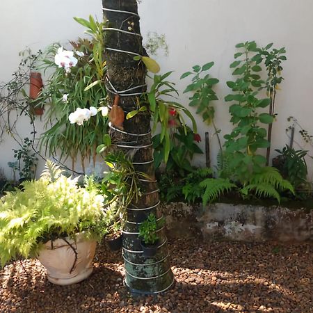San Remo Apartamento Praia Do Tombo Guarujá Zewnętrze zdjęcie